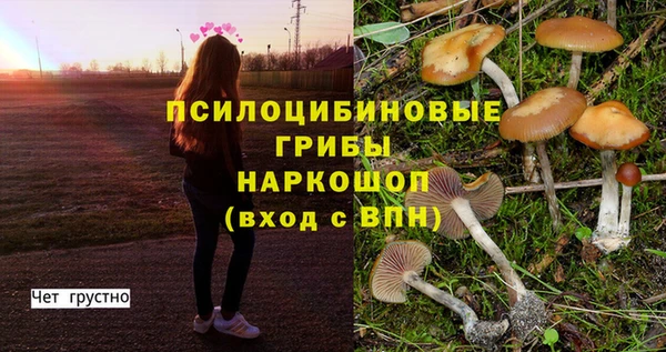 амф Богданович